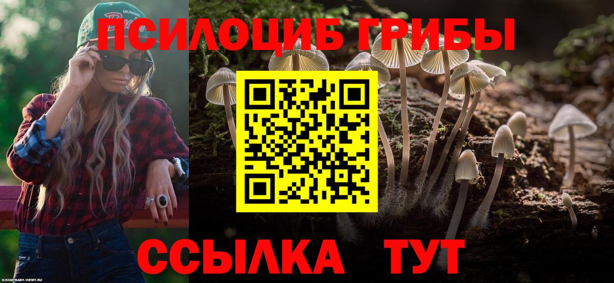 Галлюциногенные грибы прущие грибы  Вход с VPN  закладка  Качканар 